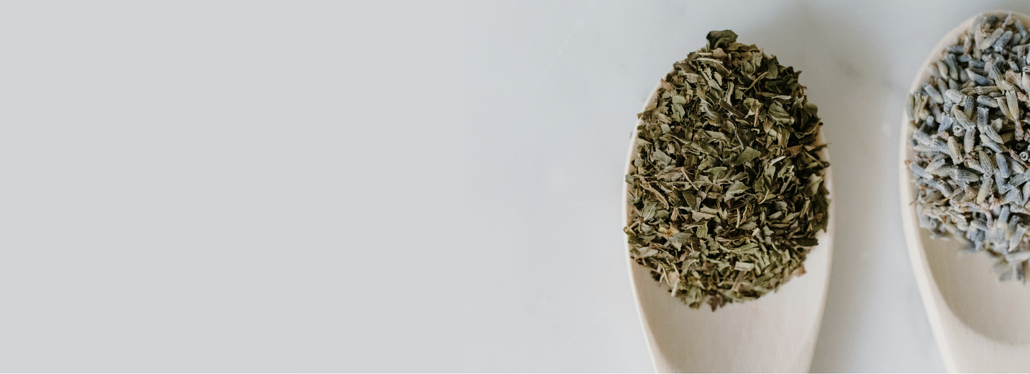 Two wooden spoons with loose leaf tea on them on a white background
