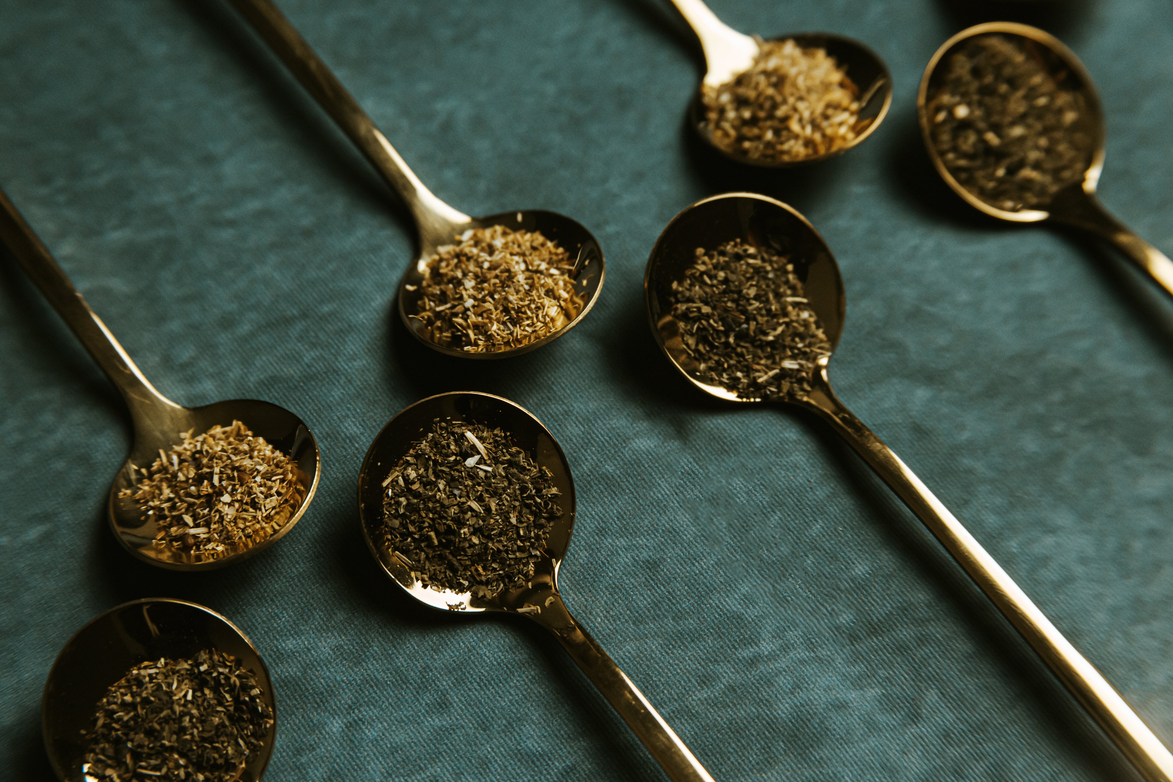 Gold spoons in a row filled with loose leaf tea